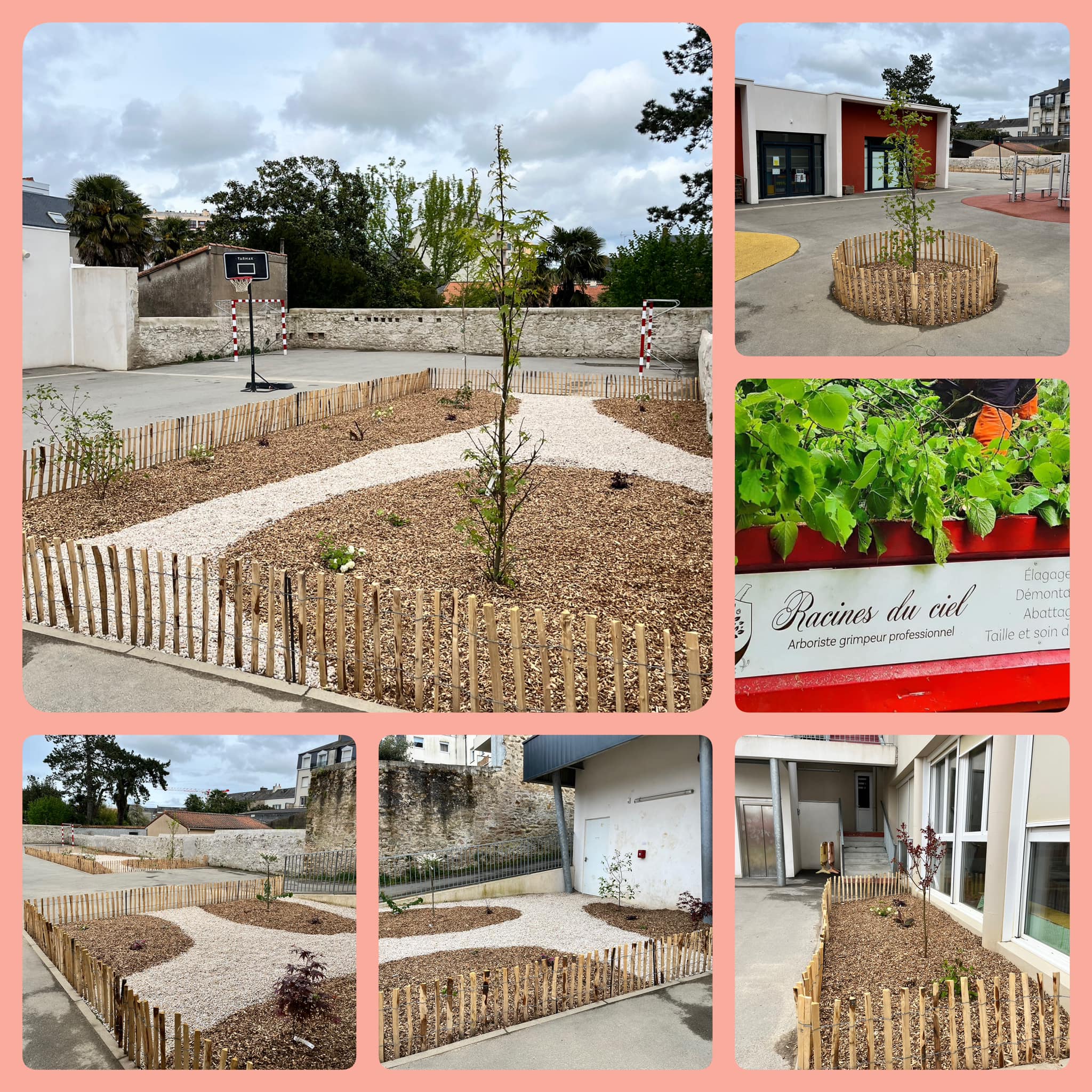 Jardin potager