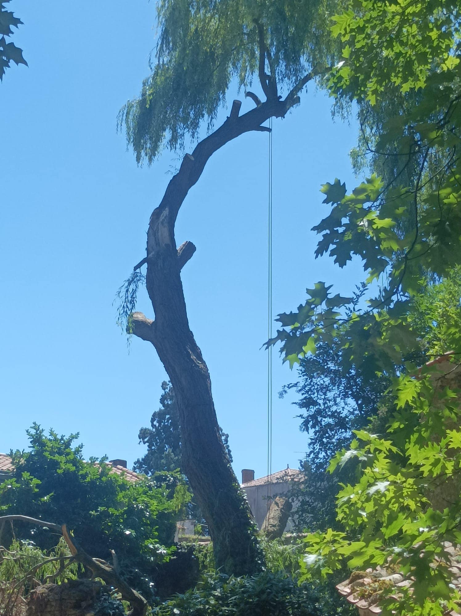 Entretien de jardins historiques